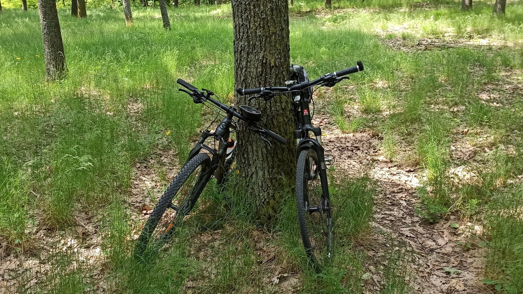 bicykle.jpg