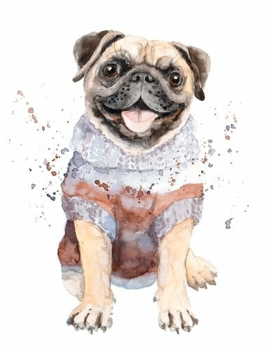 shutterstock_730695196.jpg