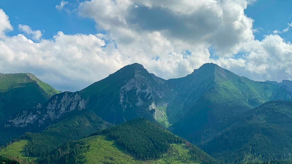 Pátranie po hmyze - Belianske Tatry