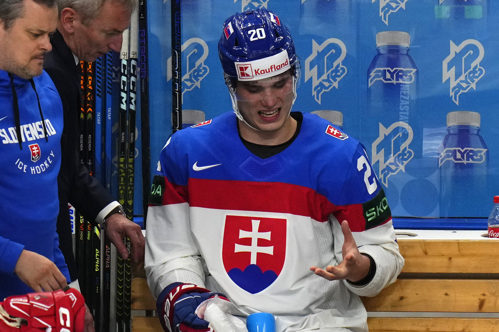 Czech_Republic_Ice_Hockey_Worlds355858045223.jpg