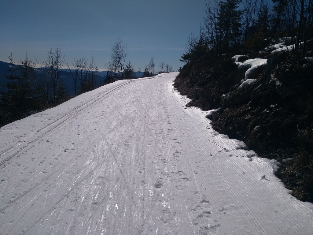 IMG_20250305_112519.jpg