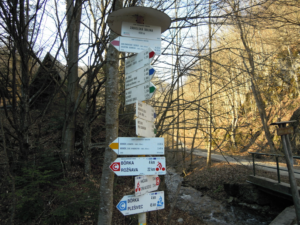 DSCN6425.JPG