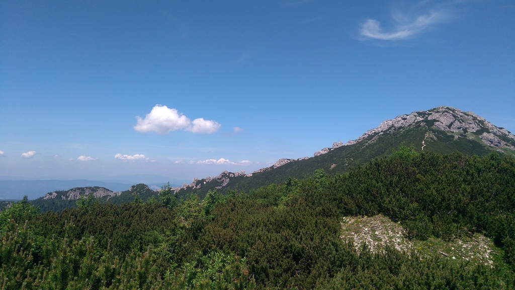 IMG_20190626_124007.jpg