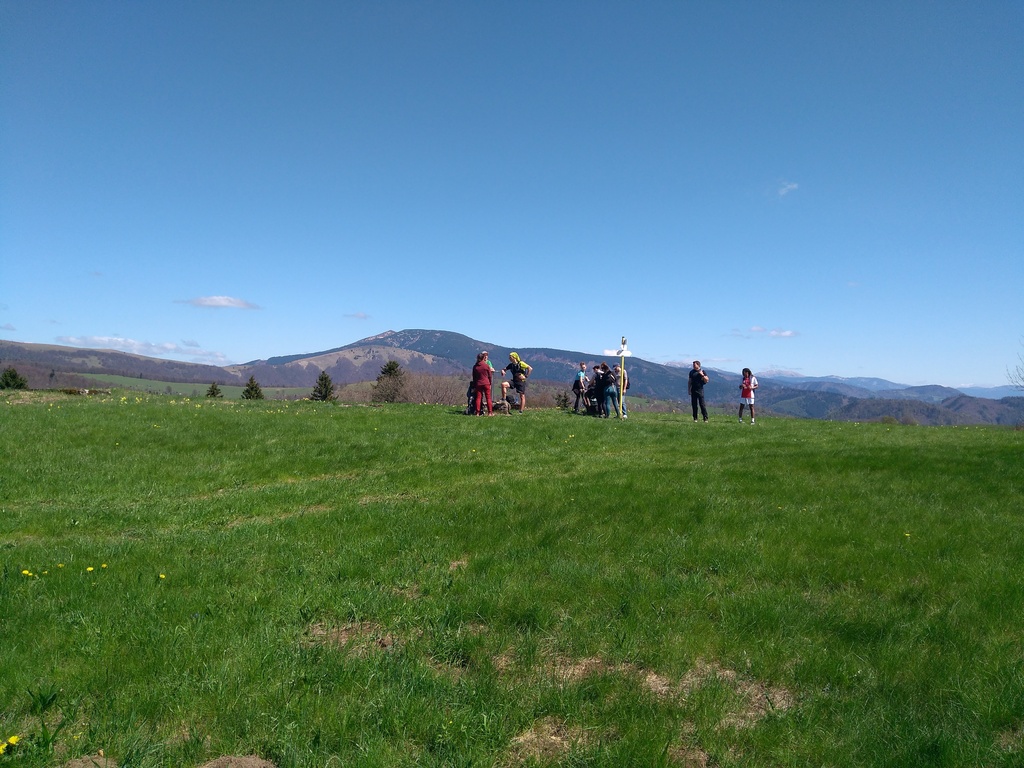 IMG_20250426_121245.jpg