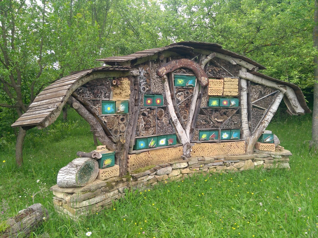 Sn°mka 11.jpg