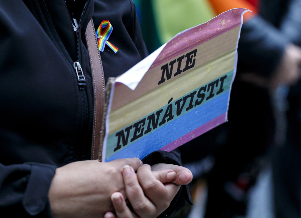 LGBTI_TASR - Dano Veselský.jpg