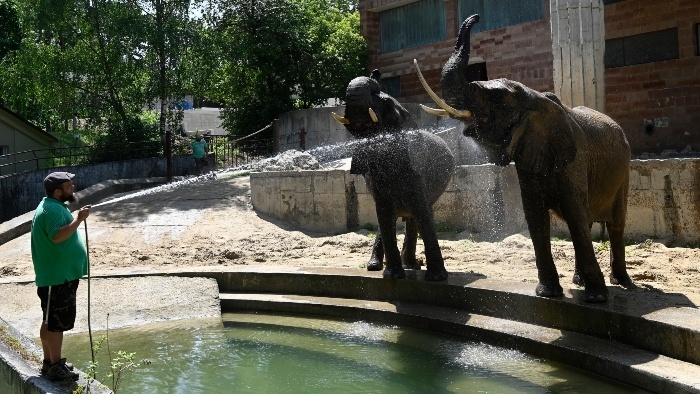 zoo_bojnice_horúčavy_TASR - Radovan Stoklasa.jpg