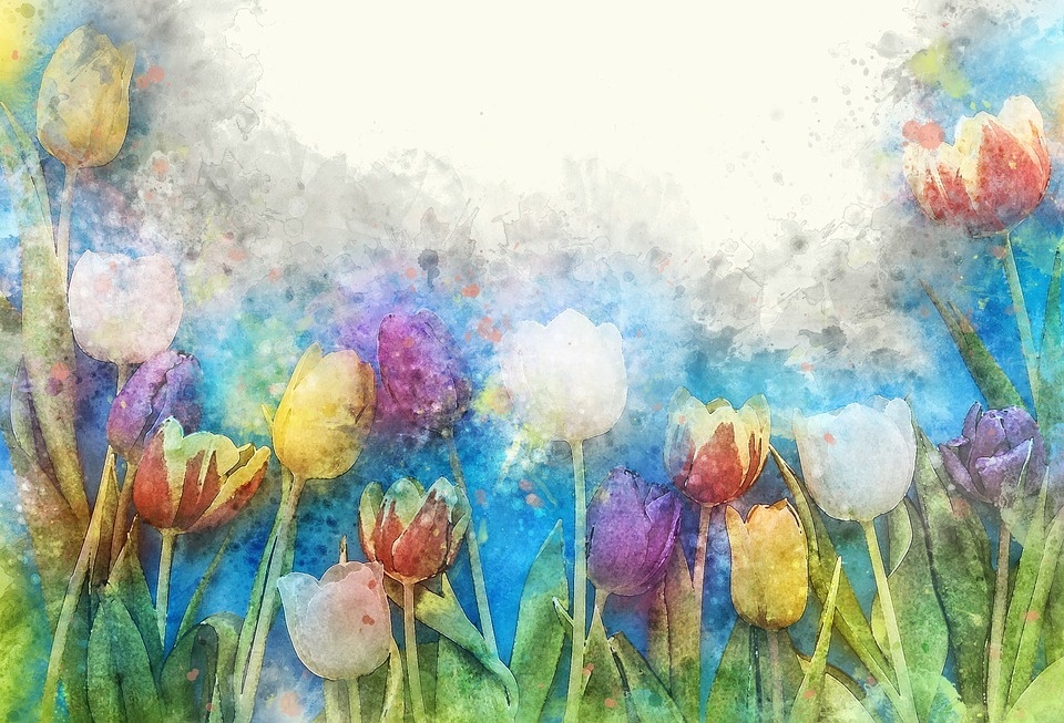 flower-3304566_960_720.jpg