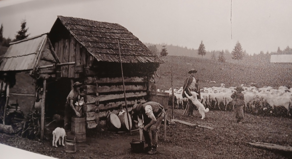 História blízka vzdialená.jpg