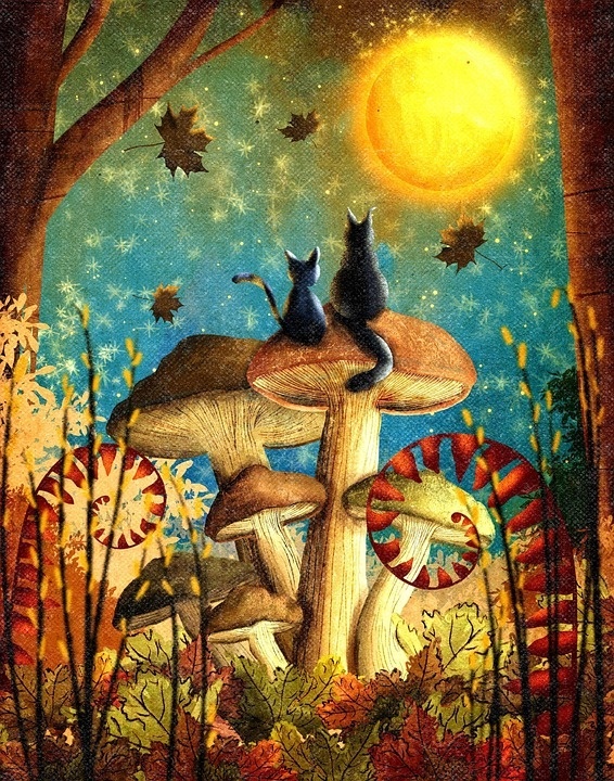 cats-8277166_960_720.jpg