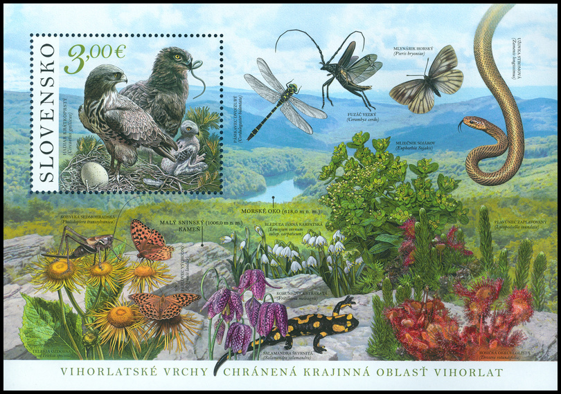 hárček Vihorlat.png