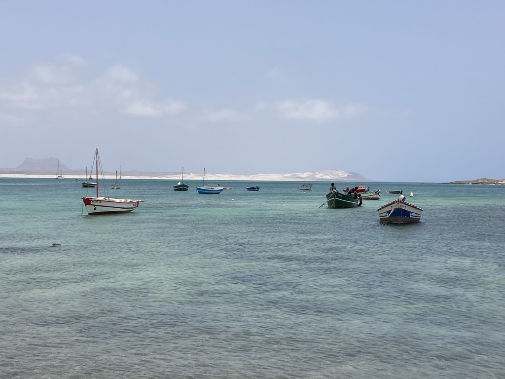 IMG_6144.JPG