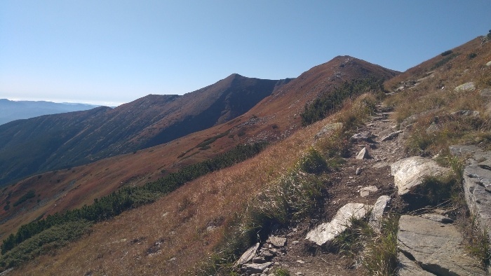 IMG_20250920_113053_700x394.jpg