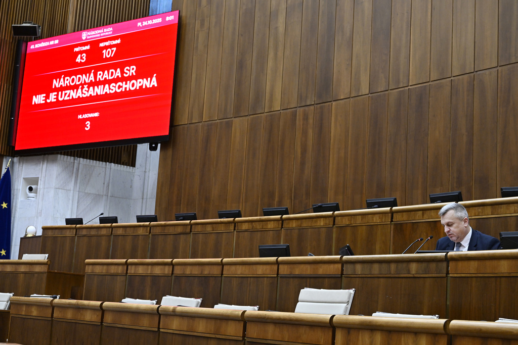 parlament_schodza_TASR - Pavel Neubauer.jpg