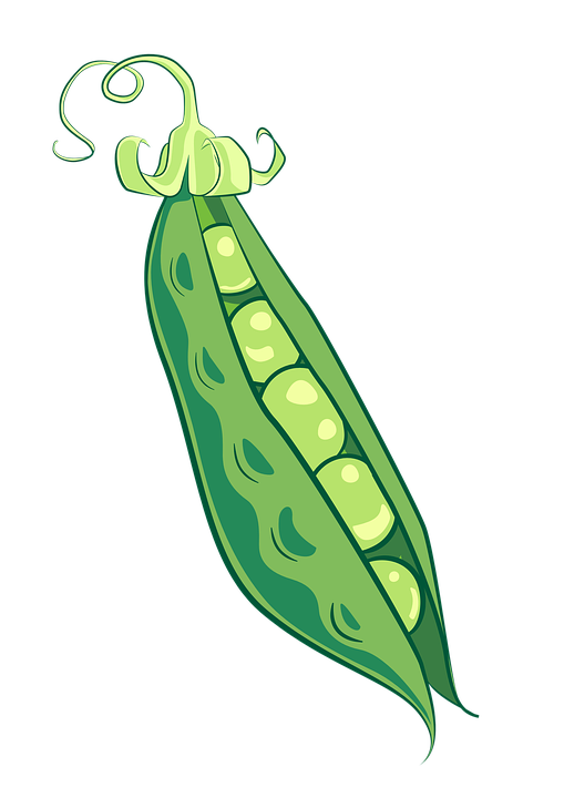peas-2511235_960_720.png