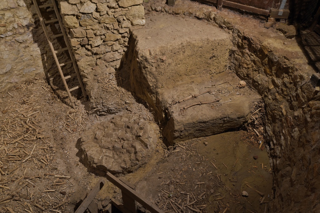 trnava_karner_bazilika sv. mikulasa_TASR - Lukáš Grinaj.jpg