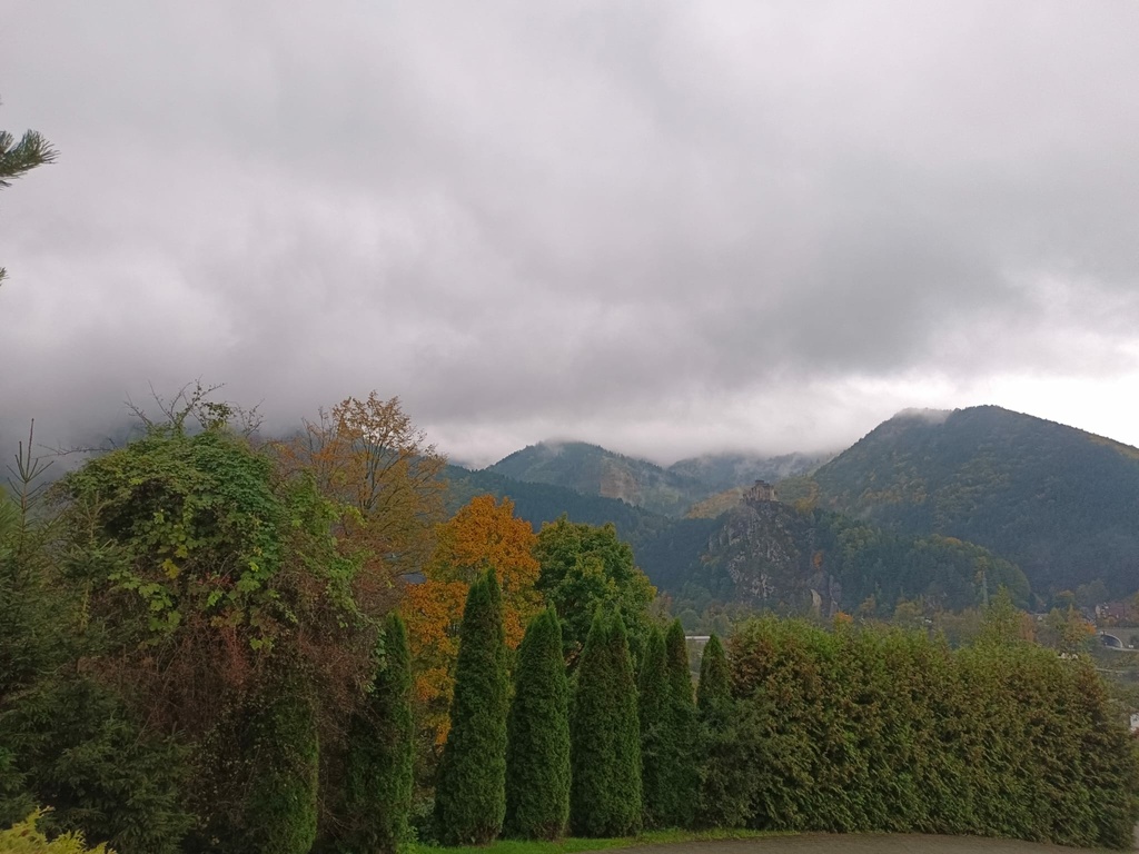 WhatsApp Image 2025-10-31 at 12.07.22.jpeg