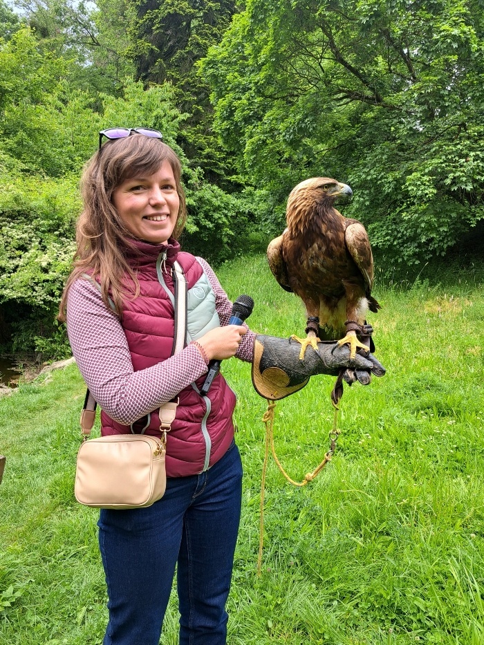 Rudo_orol skalný.jpg