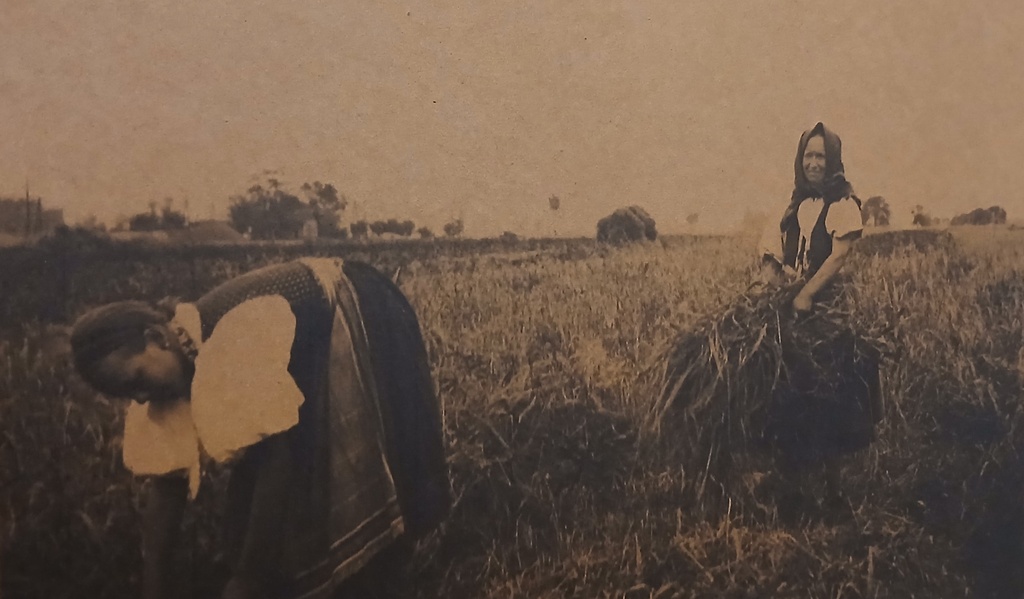 FOTO moje z výstavy.jpg