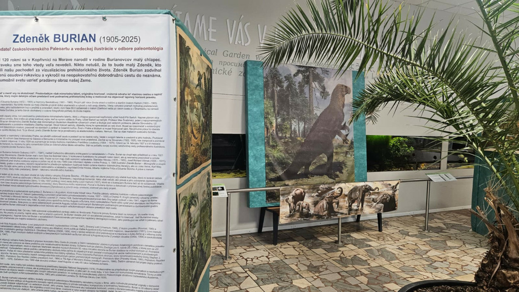 Image 2026 - 4_1920.jpeg