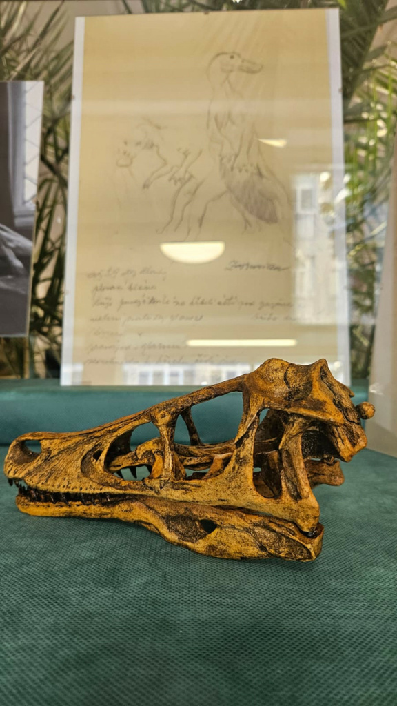 Image 2026 - 5_1920.jpeg