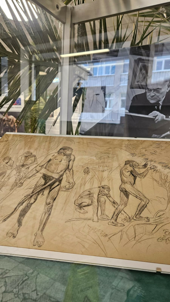 Image 2026 - 6_1920.jpeg