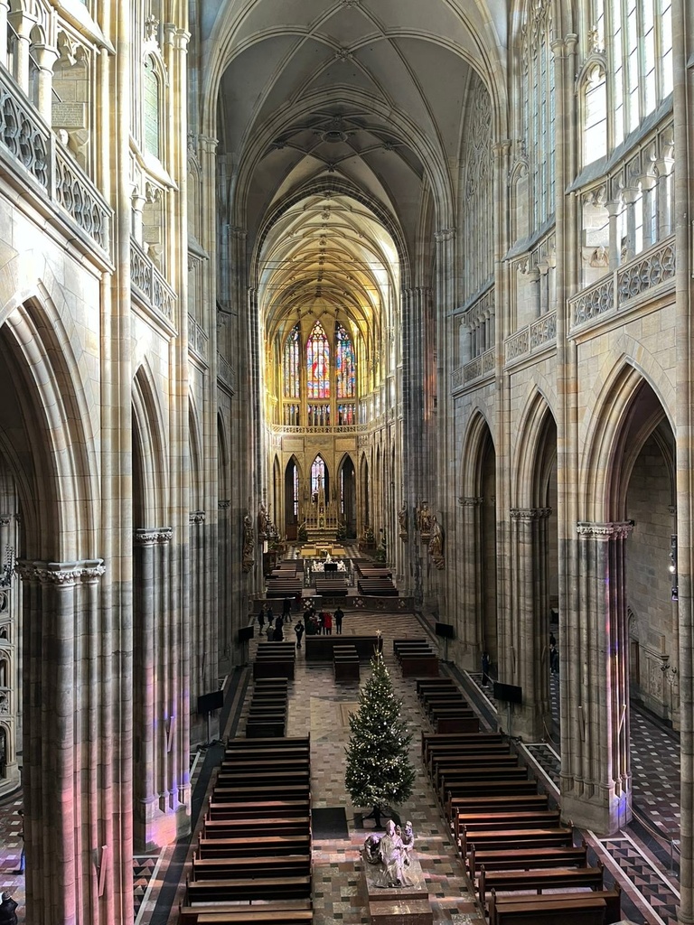 PHOTO-2026-01-23-13-37-07 3.jpg