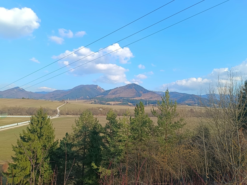 WhatsApp Image 2026-03-06 at 08.43.17 (3).jpeg