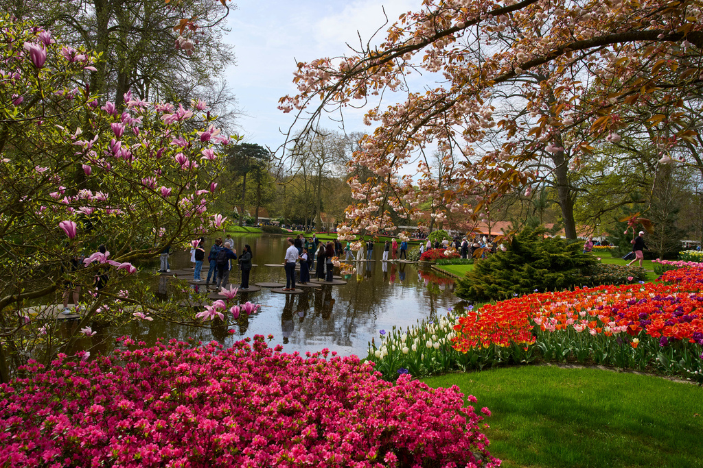 holandsko_keukenhof_2_TASR_AP_Peter Dejong.jpg