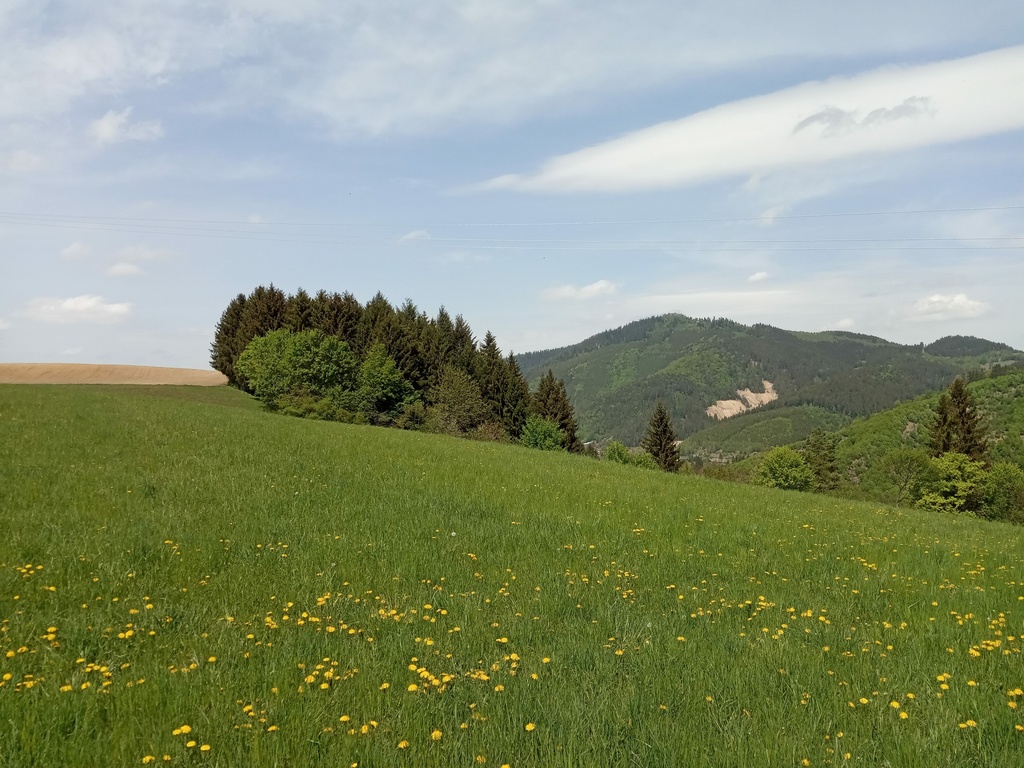 IMG_20200511_124116.jpg