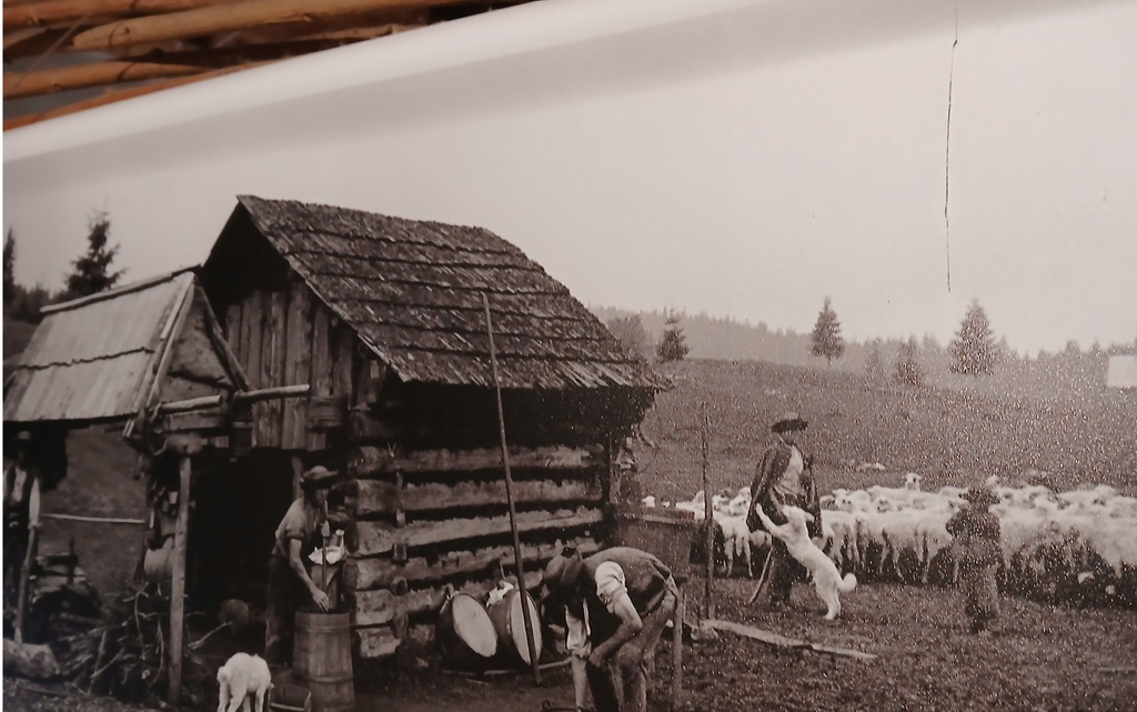 FOTO moje.jpg