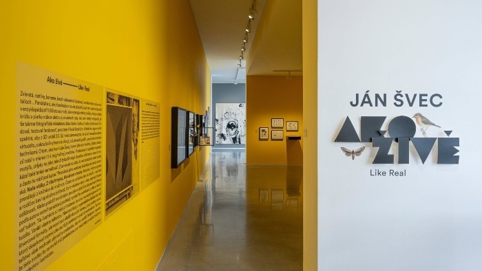 jan svec_FOTO DANUBIANA MEULENSTEEN ART MUSEUM.jpg