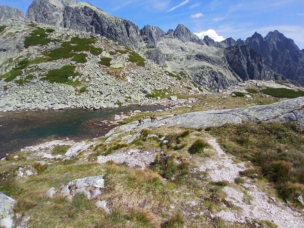 20260801_114359.jpg