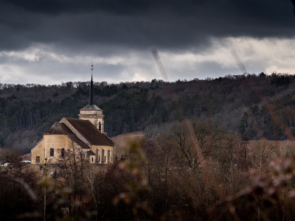 FOTO freepik.jpg