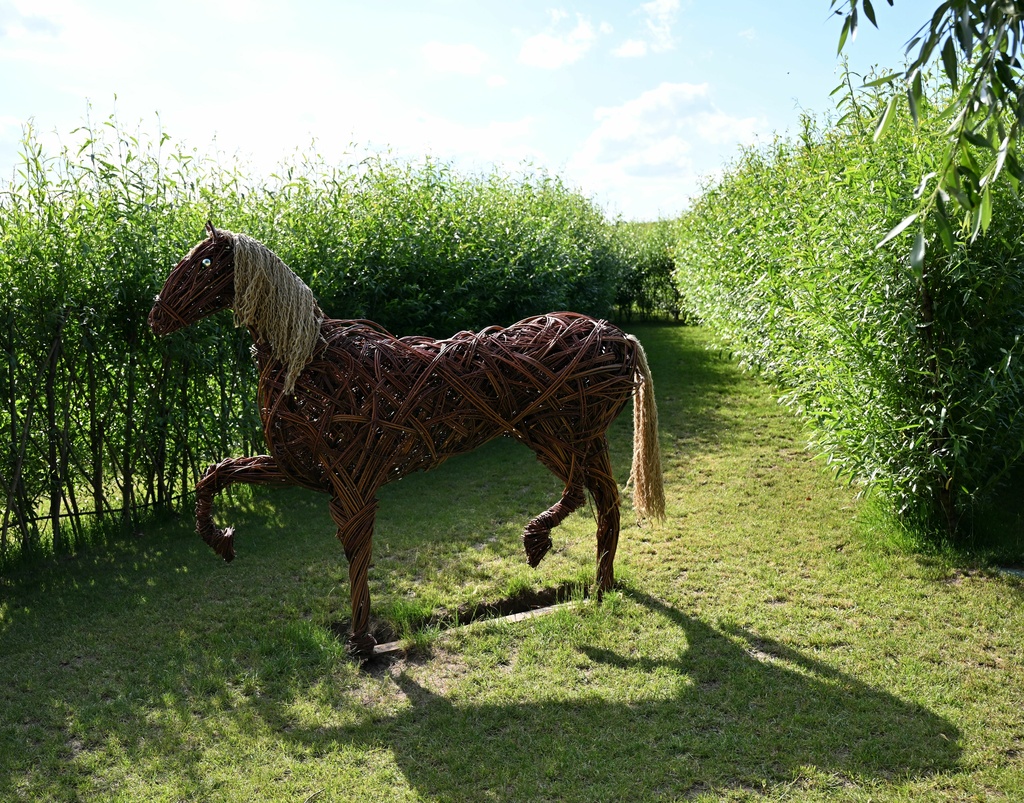 willkov park_TASR - Roman Hanc.jpg