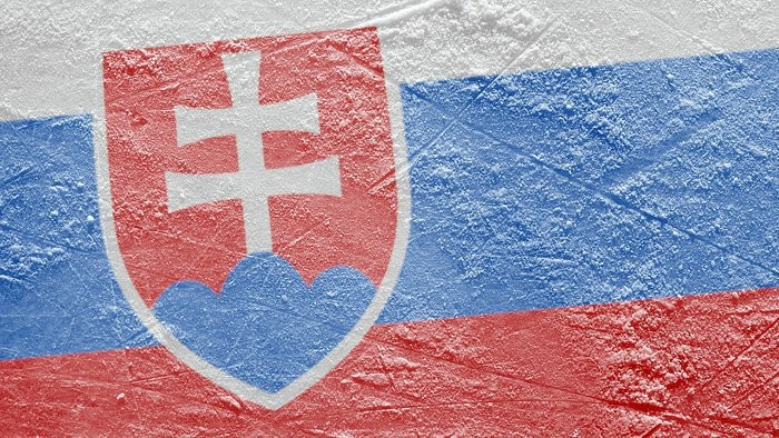Skvelý hokej, skvelí diváci: RTVS sledovalo vyše milióna z nich
