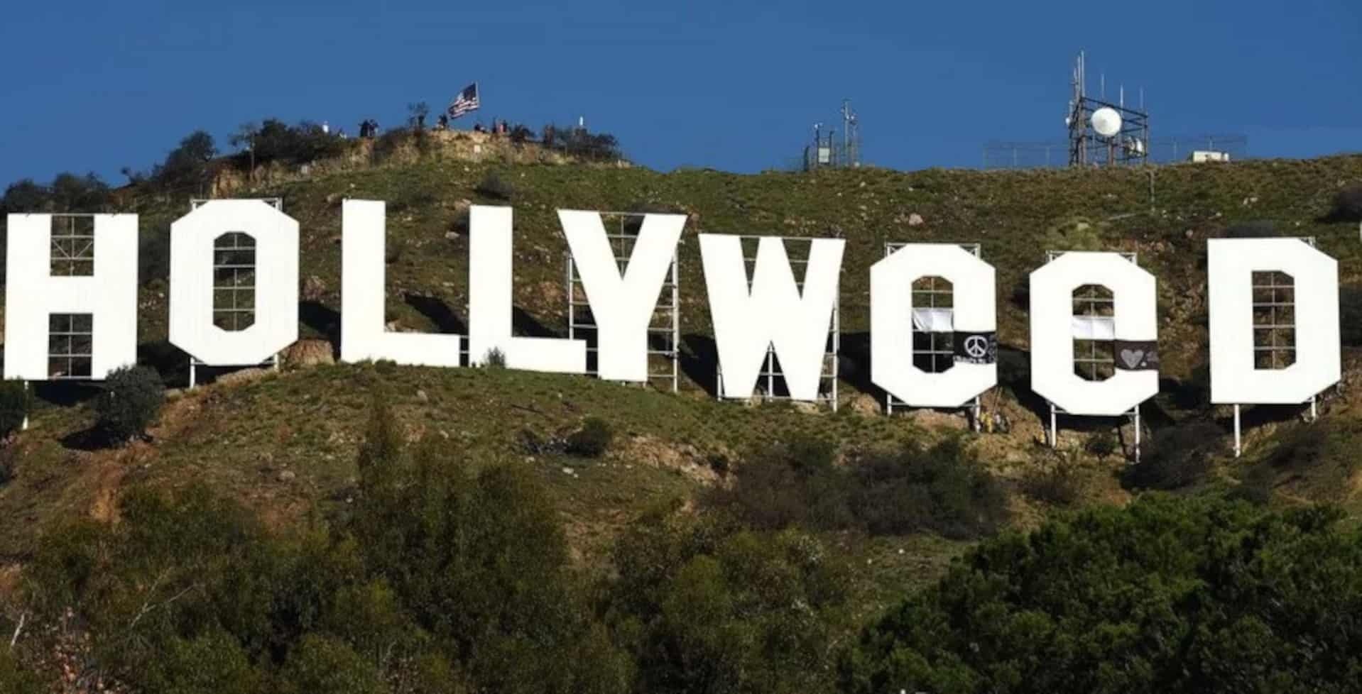 Hollyweed-Insta
