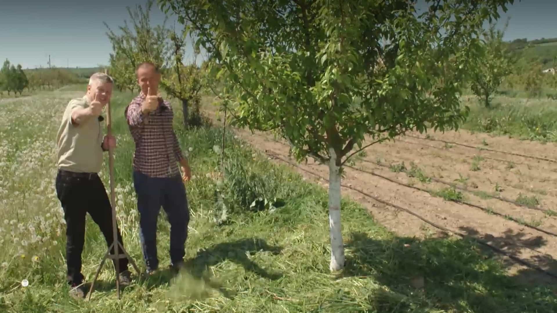 Ako zachránite vlahu pod ovocnými stromami? Vyskúšajte tento trik z Farmárskej revue