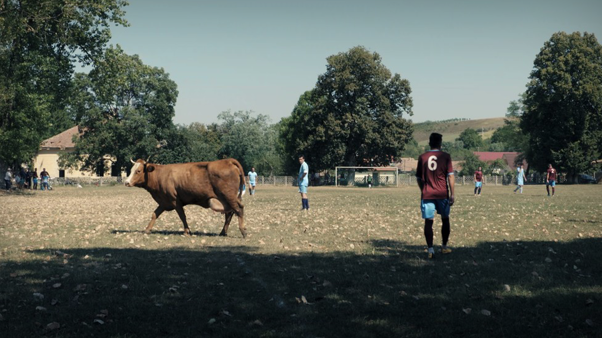 Úplne iný pohľad na futbal. Tragikomédia vás zavedie do života hráčov najnižšej ligy