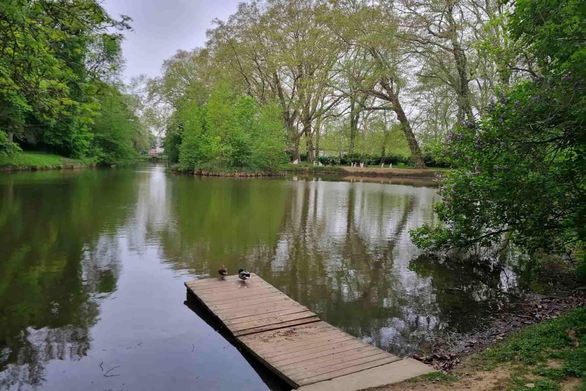 Hlohovec-park-platany-rameno-Váh-Jurčo-Martin