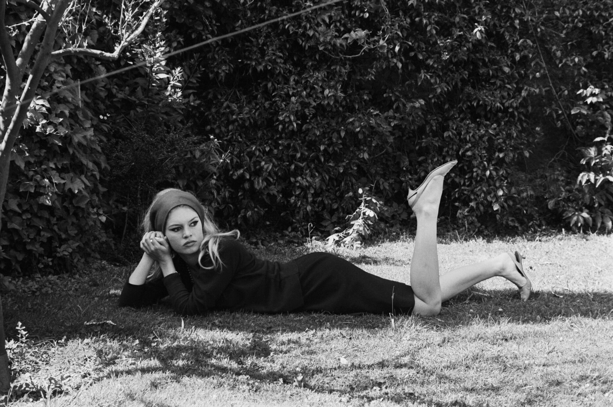Brigitte Bardot