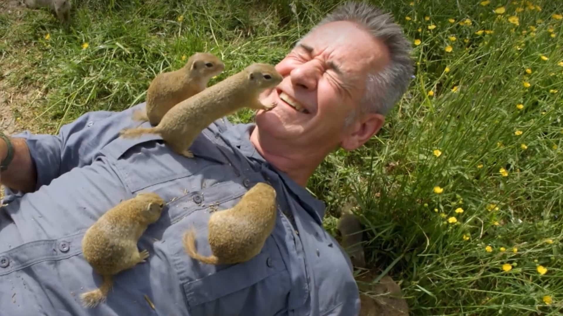 Nigel-Marven-svište-STVR