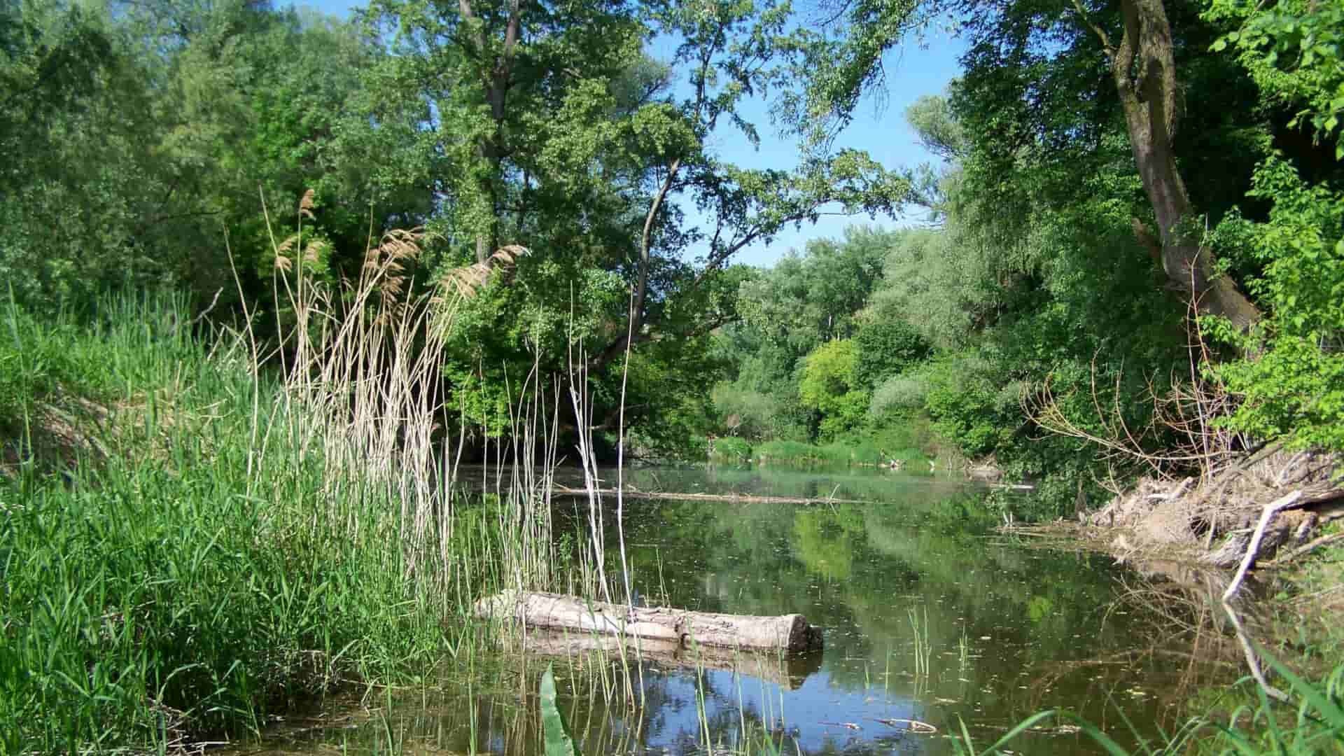Ostrov na vode má veľa otáznikov a výkričníkov. Žitný ostrov, ako ho nepoznáte