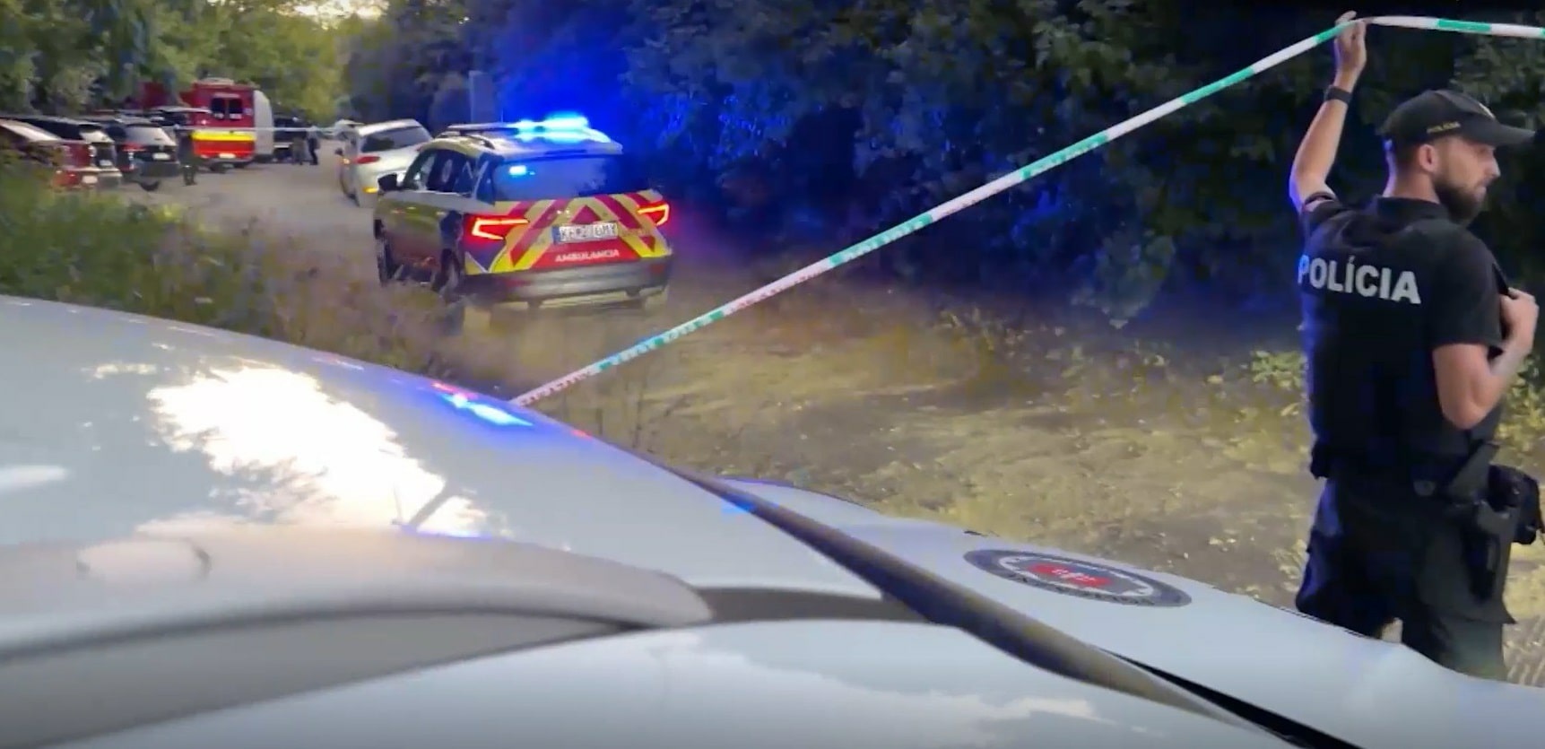 Množstvo detektívok deformuje nielen verejnosť, ale vplýva aj na vyšetrovateľov