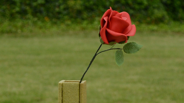 RECEPT: Technická výzva vo vašej kuchyni. Pripravte si kvet vo váze podľa Petry Tóthovej