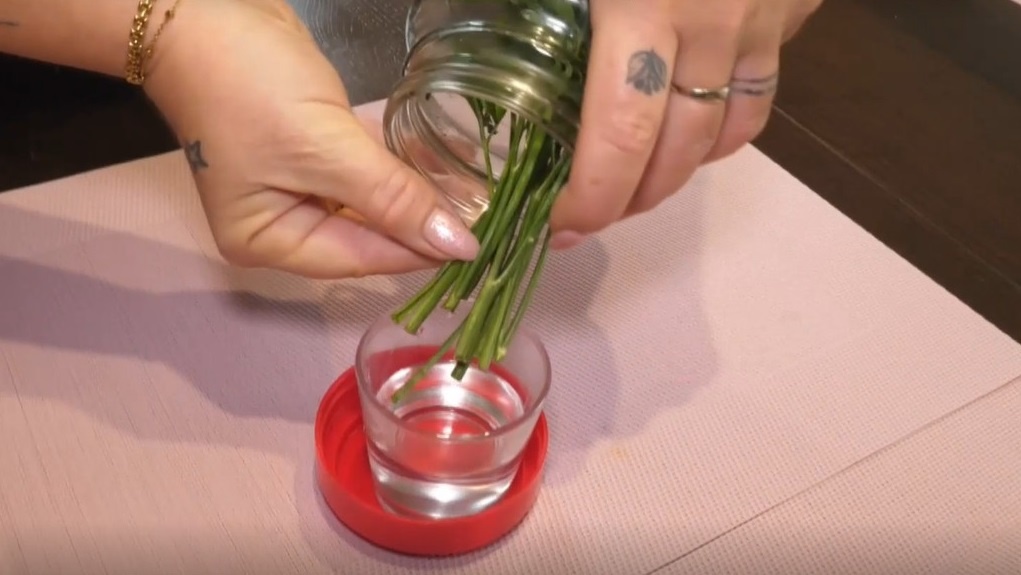 DK-petržlen-pohárik-STVR