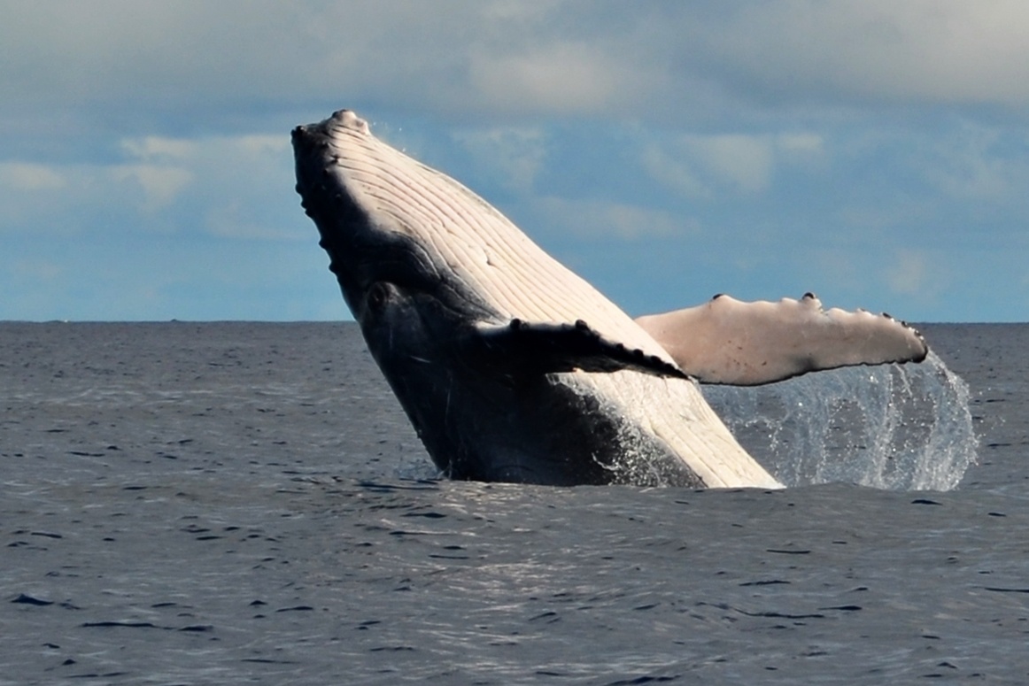 Spoznajte svet, aj keď nemáte na cestovanie. Lacné riešenia vám to umožnia