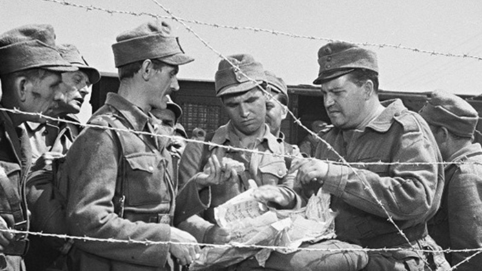 na film styridsatstyri reziser pavol bielik