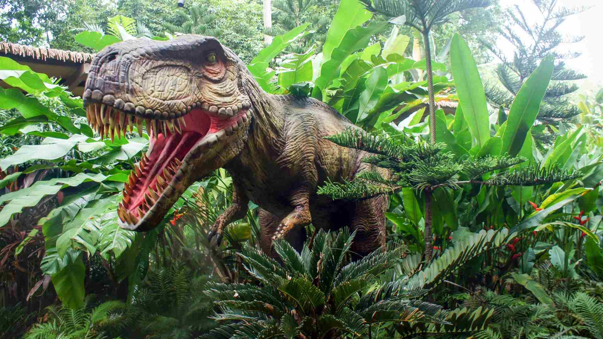 dinosaurus rex džungľa