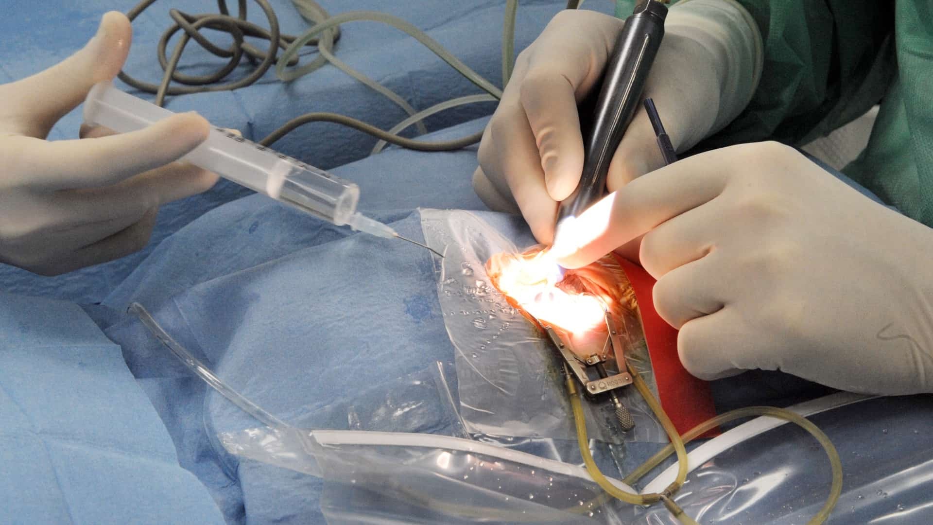 operácia-Štefan-Puškáš-TASR